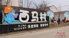 （乡村行·看振兴）山西长子：樱桃“红”了  日子“甜”了